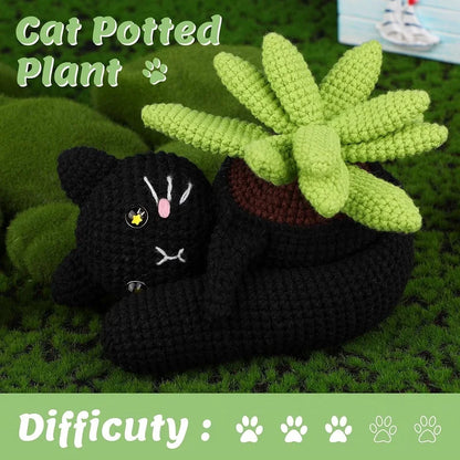 Chonky House Cat Plant