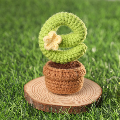 LOVE Cactus Love Crochet Kit