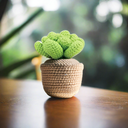 Beginner Succulent Crochet Kit